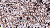usu GIF by Utah State University