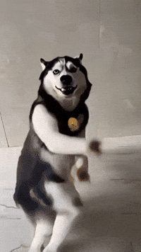 Dance Ai GIF