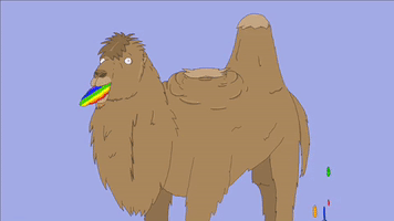 Camel Glas 2019 GIF