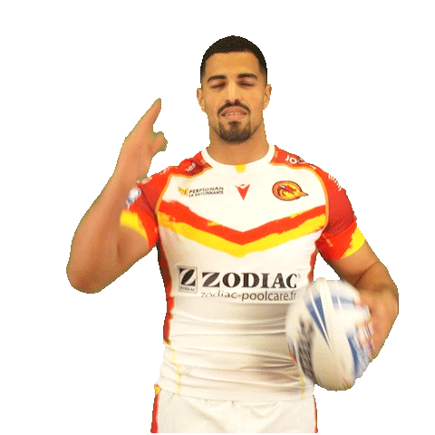 Rugby League Sticker by Dragons Catalans