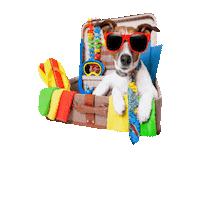 Pta Sticker by Pet Travel Advisor