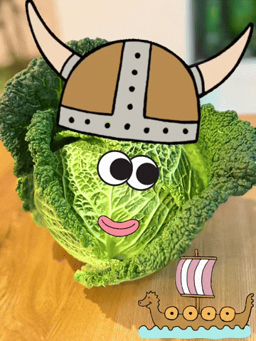 Vikings Wikinger GIF