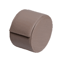 Watch Accessories Sticker by Kross Studio