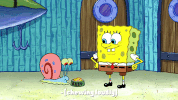 season 9 gary's new toy GIF by SpongeBob SquarePants