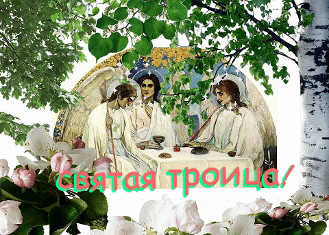 giphygifmaker giphyattribution GIF