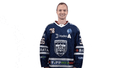 Hockey Erdely GIF by Fehervar AV19