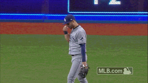 Tampa Bay Rays Sign GIF by MLB