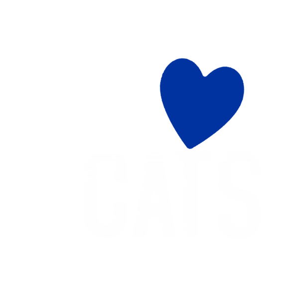 cat love Sticker by University of Kentucky