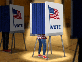 Voting American GIF by MultiversX