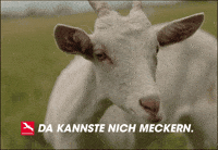 unserbrandenburg  GIF