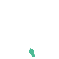 Plant Sustainability Sticker by BDO Austria