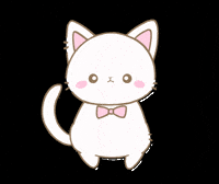 ねこ 猫 GIF