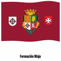 Comunidad Valenciana Flag GIF by Formación Ninja