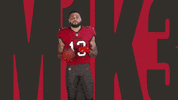 Tampa Bay Football GIF by Tampa Bay Buccaneers