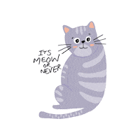 Cat Kitten Sticker