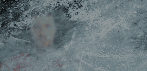 potter #koelnerhaie #torschuetze #del GIF by Kölner Haie