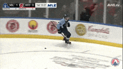 GIF by Milwaukee Admirals