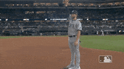 Major League Baseball Yes GIF by MLB