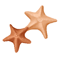 Summer Beach Sticker