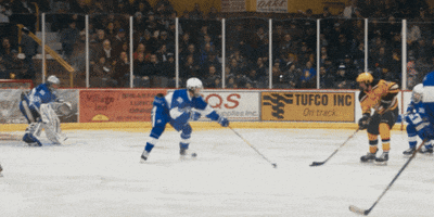 Golden Bears Goal GIF by Hockeyland