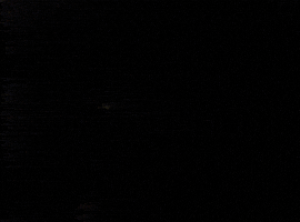Speeding On My Way GIF by Tomorrow Television