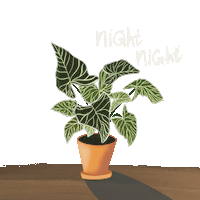 Good Night Sticker