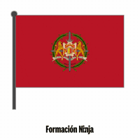 Flag Spain GIF by Formación Ninja