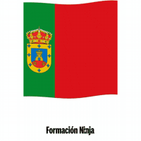 Castilla Y Leon Bandera GIF by Formación Ninja