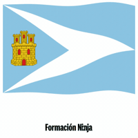 Castilla Y Leon Flag GIF by Formación Ninja