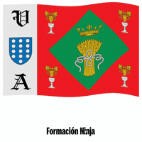 Castilla Y Leon Flag GIF by Formación Ninja