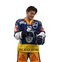 Ice Hockey Zug Sticker by EVZ