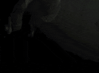 Girls Rule Pop Punk GIF by Universal Music Australia