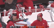 Regular Season Football GIF by NFL