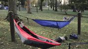 Fall Yes GIF by Lehigh University