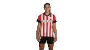 San Mames Bilbo Sticker by Athletic Club