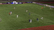 Afc Taj GIF