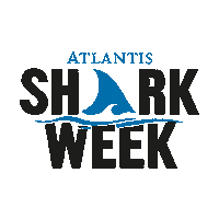 Shark Aquarium Sticker by Atlantis, The Palm