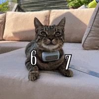 6 7 Whatever GIF