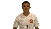 Waving Sticker by Carson-Newman Athletics