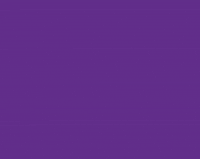 DTCChile dtc superperro dogtrainingclub perriprofe GIF