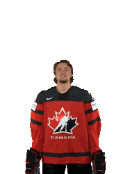 Celebrate Hockey Player Sticker by International Ice Hockey Federation