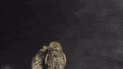 La Salle Art GIF by jorgemariozuleta