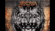 carlos santana GIF by Sony Music Perú