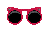 Tampa Spartans Sunglasses Sticker by The University of Tampa