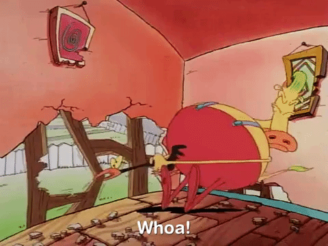 rockos modern life nicksplat GIF
