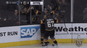 ice hockey sport GIF by NHL