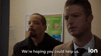 We're Hoping You Could Help Us