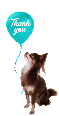 happy dog Sticker by Tales&Tails