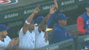 Happy Major League Baseball GIF by MLB