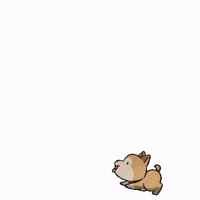 wonderpetztreats dog treat dog treat puppy treat GIF